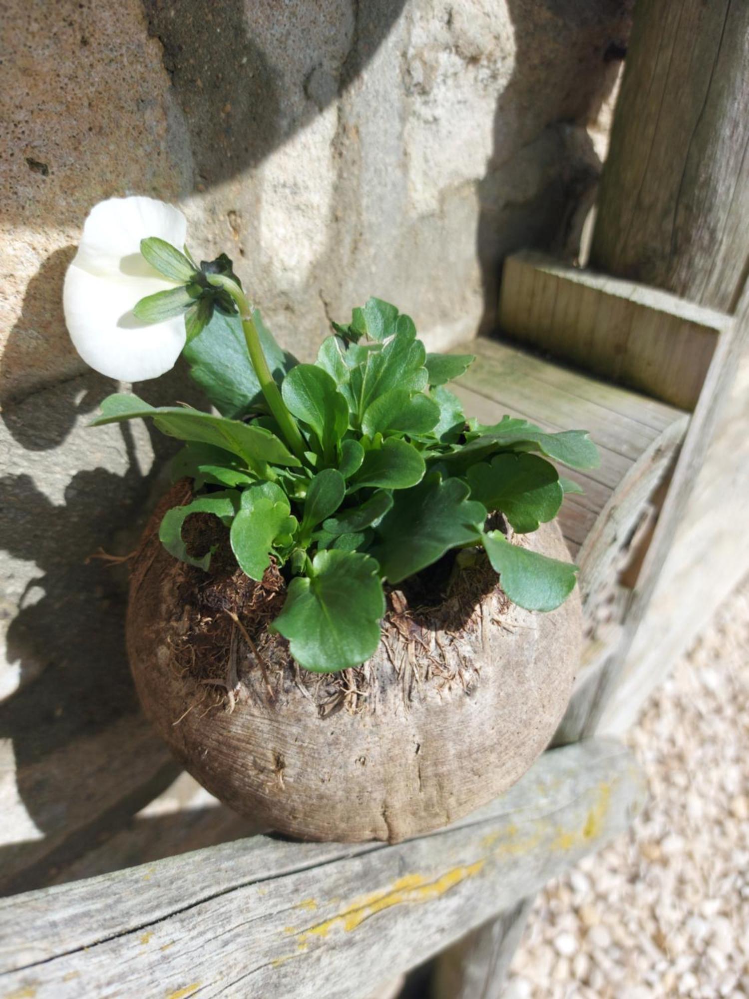 Thames Head Wharf - Historic Cotswold Cottage With Stunning Countryside Views 시런세스터 외부 사진