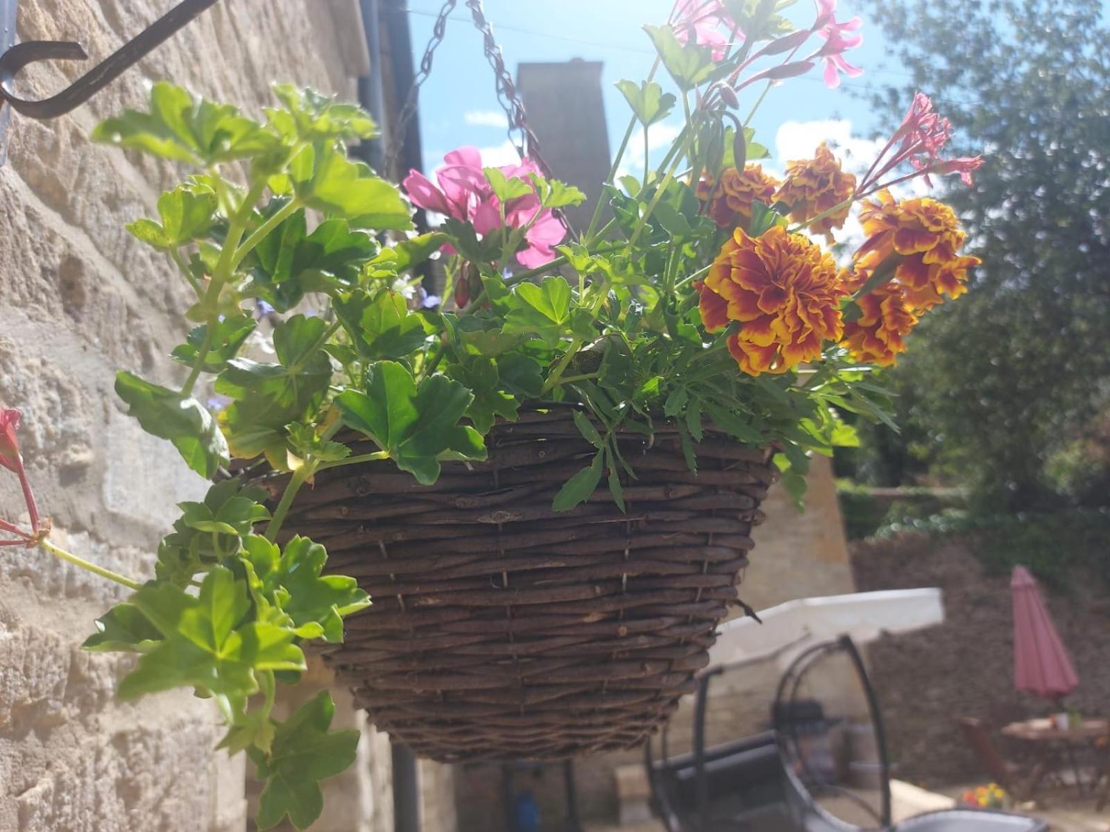 Thames Head Wharf - Historic Cotswold Cottage With Stunning Countryside Views 시런세스터 외부 사진